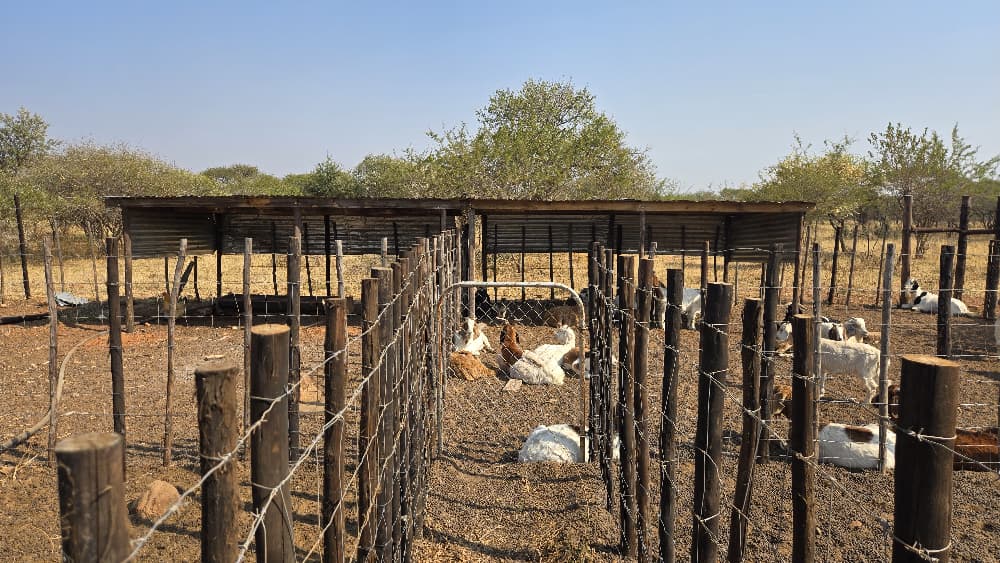Sustainable Livestock Management