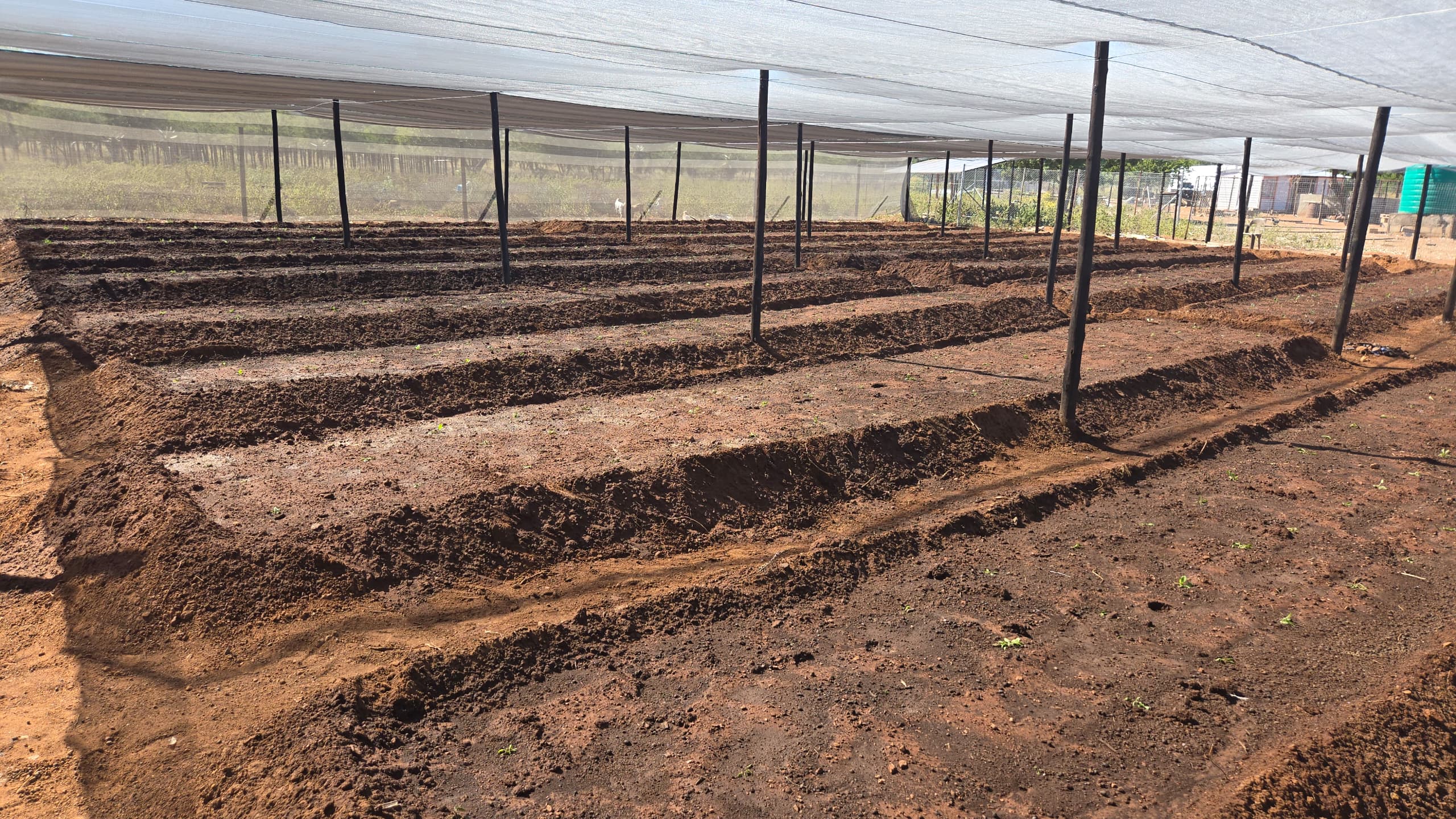 Environmental Stewardship